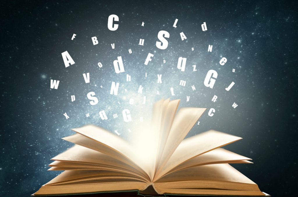 Visite de la bibliothèque pour les 1MN