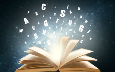 Visite de la bibliothèque pour les 1MN