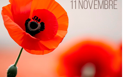 Commémoration du 11 novembre